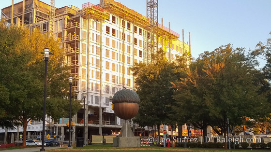 Raleigh's Giant Copper Acorn